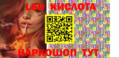 Альфа ПВП Кандалакша