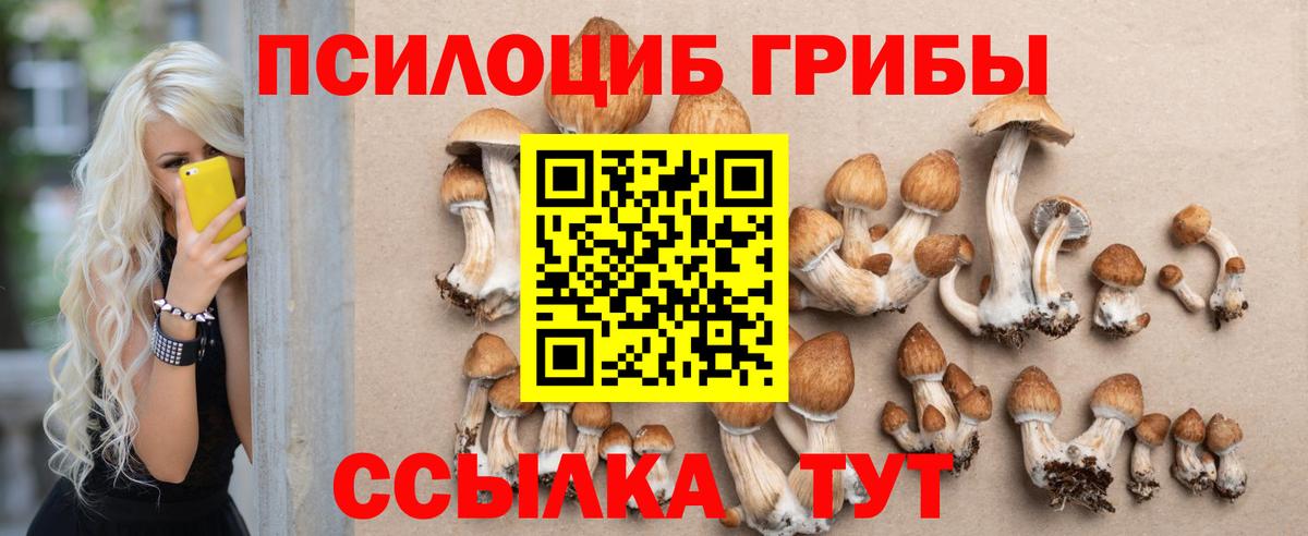 Псилоцибиновые грибы GOLDEN TEACHER  Псилоцибиновые грибы Cubensis  Киселёвск  Вход с VPN 